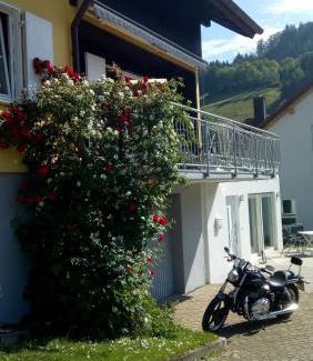 Siegelau Apartment | Am Siegelbächle -2 mit E-Bikes Vermietung