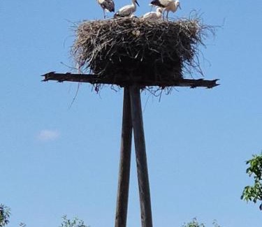 Ahrensdorf Apartment | Am Storchennest