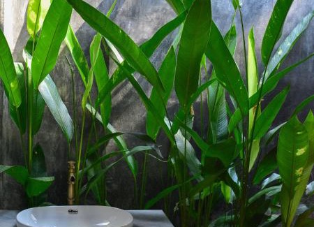 Nong Khiaw Hotel | Amanda Riverside