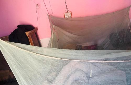 Maharajganj House | Amaranth Homestay