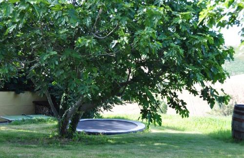 Belvedere Ostrense Apartment | Amazing apartment in Belvedere Ostrense with garden