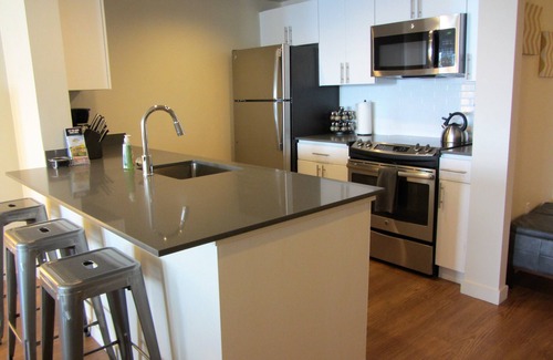 Downtown Seattle Apartment | Amazing Location by Pike Pl Market ~ Water Views ~ HUGE, Sleeps 8, 6 adults max