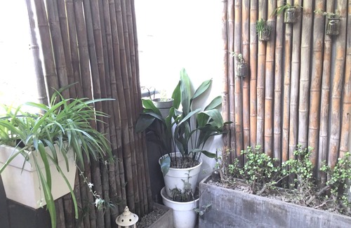 Recoleta Apartment | Amazing Studio with Amenities in Recoleta