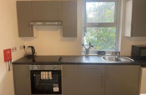 Boleyn Apartment | Amazing Studios 4 - East London