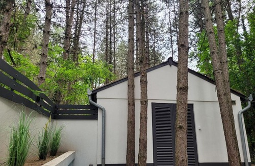 Kiskunhalas Bed & Breakfast | Ambiente