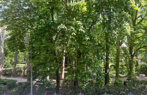 Roiano-Gretta-Barcola-Cologna-Scorcola Apartment | Ambra Central Park - Giulia 19