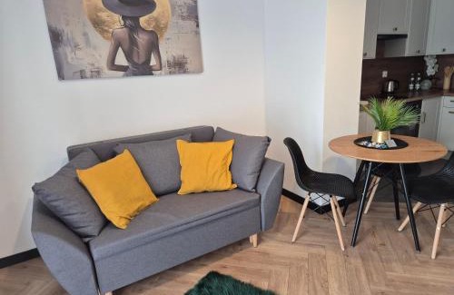 Ilawa Apartment | Ami Luxury Residence VI CENTRUM - możliwość REJSU ŁODZIĄ