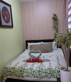 Santo Tomas House | Amigas Transient