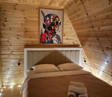 Kazbegi Cabin | AMO Gudauri