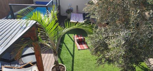 Isfiya House | Amy's paradis גן העדן של איימי