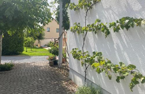 Finsterwalde Apartment | An der Bürgeheide
