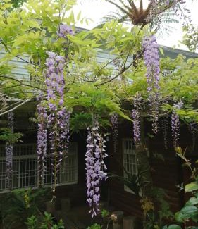 Meishan House | An Yun Mountain Homestay