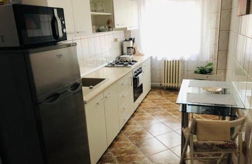 Ramnicu Valcea Apartment | Ana-Maria Home