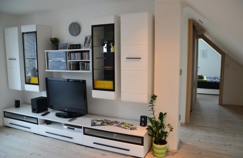 Trnovlje pri Celju Apartment | Ana`s place
