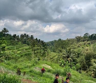 Tetebatu Hotel | Ananda Bungalow Tetebatu