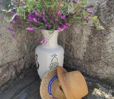 Combes Apartment | Ancienne bergerie de Torteillan