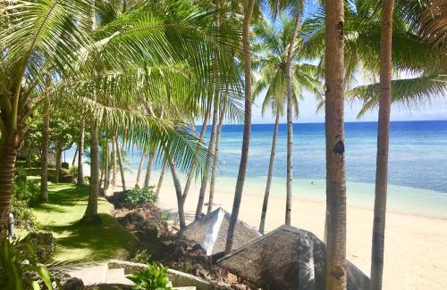 Anda Resort | Anda White Beach Resort