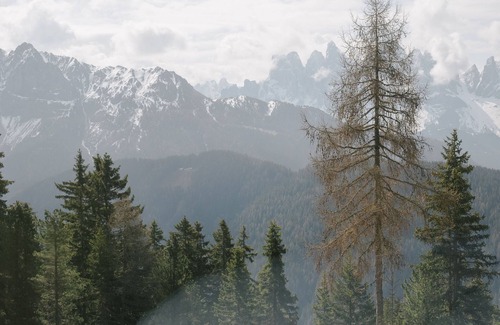 Eores Cabin | Anders Suites