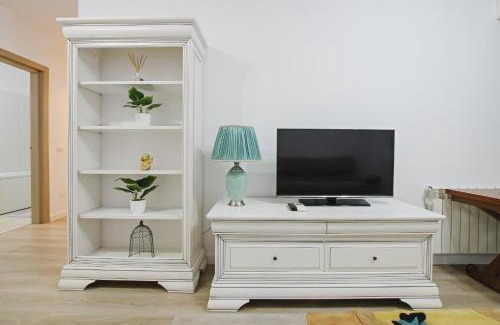 Iasi Apartment | Andiamo Love! - central
