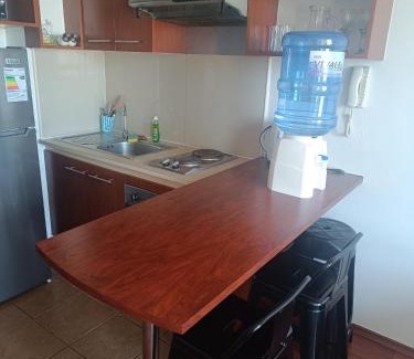 Downtown Santiago Apartment | Andina Suite 6