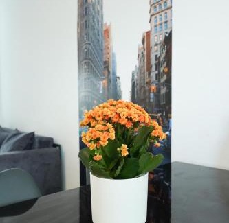 Floresti Apartment | Andrew Apartaments