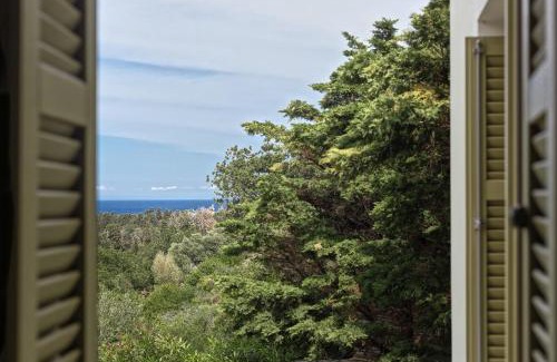 Andros Town House | Andros Summer Suites
