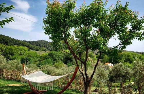 Skiathos Apartment | Anemi Deluxe Apartment