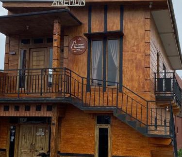 Dieng Kulon House | anemon dieng