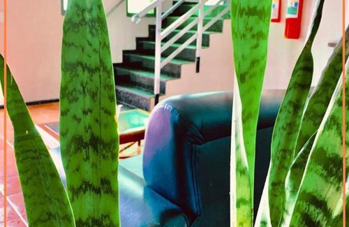 Sao Pedro Hotel | Anexo - Hospedagens Imigrantes