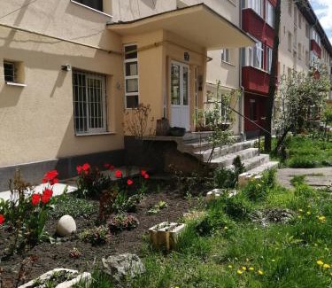 Petrosani Apartment | Angel House Central Aparament