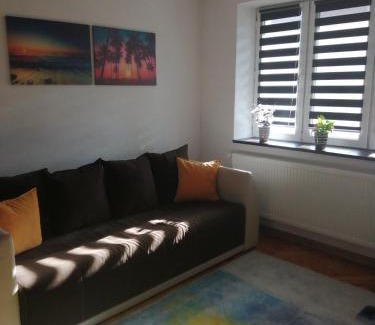 Petrosani Apartment | Angel House Central Aparament
