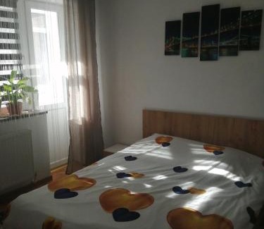 Petrosani Apartment | Angel House Central Aparament
