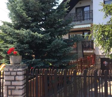 Csopak Apartment | Anita Apartman