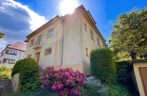 Racknitz/Zschertnitz Apartment | Ankommen und wohlfühlen! 104 qm in Altstadt-Nähe