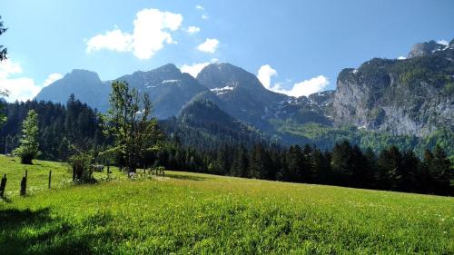 Annaberg im Lammertal Apartment | Annaberg