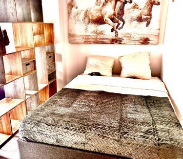 Cran-Gevrier Apartment | Annecy calme proche centre parking gratuit