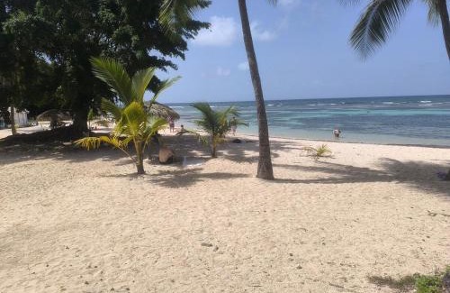 Anse des Rochers Apartment | Anse des Rochers Paradise