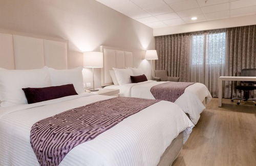 Monterrey Centro Hotel | Antaris Galerías