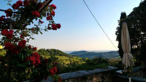 Negrar Bed & Breakfast | Antica Corte Panego