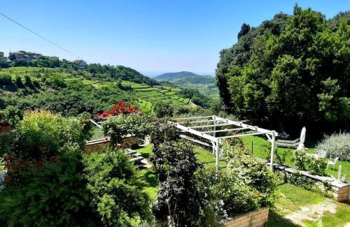 Negrar Bed & Breakfast | Antica Corte Panego