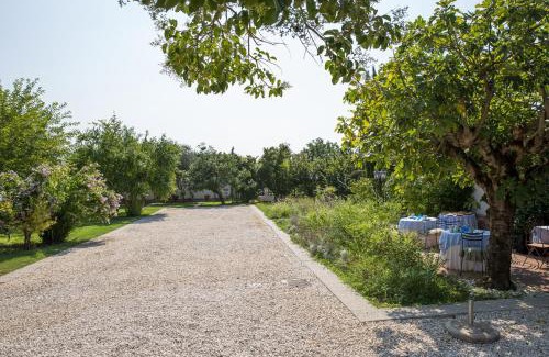 Aquino Bed & Breakfast | Antico Casale Spezia Pelagalli