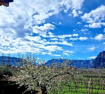 Mezzocorona House | Antico Fienile Agritur