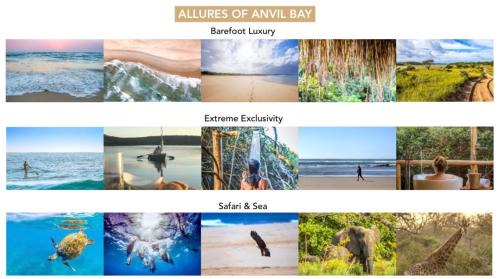Matutuine Other | Anvil Bay Lodge