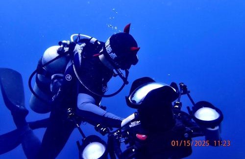 Dauin House | AoJing Diving Resort澳鲸潜水温泉店