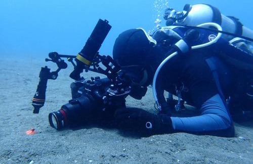 Dauin House | AoJing Diving Resort澳鲸潜水温泉店