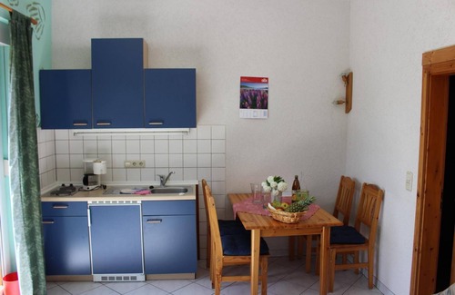 Bad Suderode Apartment | Apartment 'Ferienwohnung Tröbinger' with Shared Pool, Private Terrace and Wi-Fi