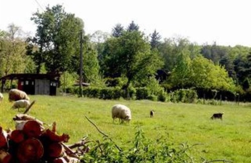 Saint-Antoine-d'Auberoche Apartment | apartment/flat - 1 room - 2/4 persons