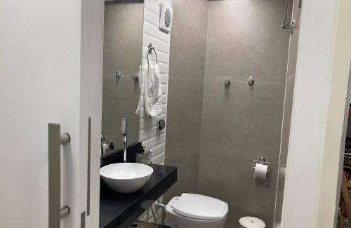 Aguas de Lindoia Apartment | Apart-Hotel Cavalinho Branco (311 e 409)