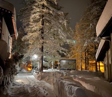 Saas Almagell Apartment | Apart-hotel Channa