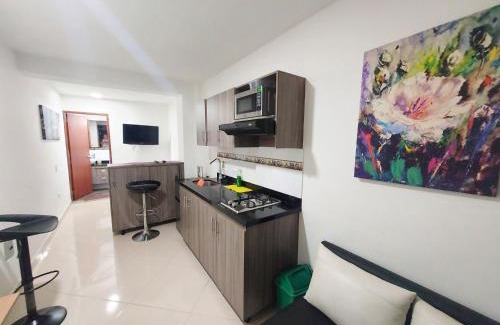 Buenos Aires Apartment | Apartaestudio Centro Comercial la Central